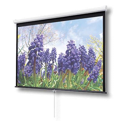 Suspended projection screen