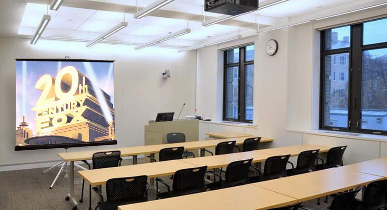 Portable Projection Screen: Model Diplomat/R